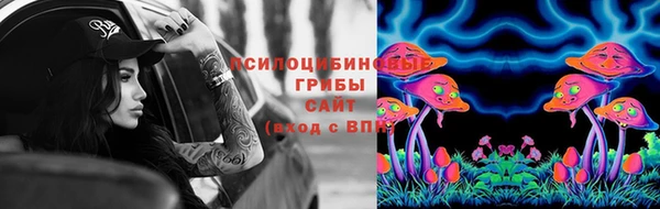 альфа пвп Алексеевка