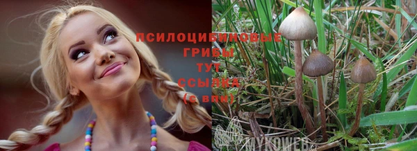 спайс Алзамай