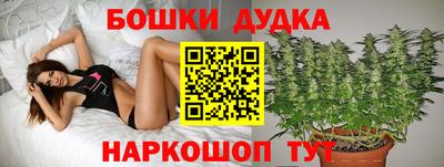 винт Гай