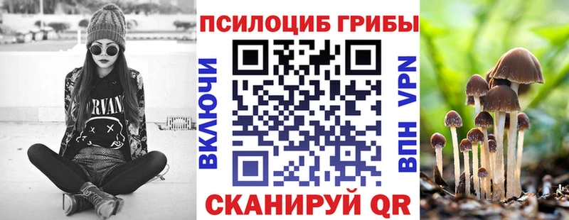 Галлюциногенные грибы Psilocybe  Похвистнево 