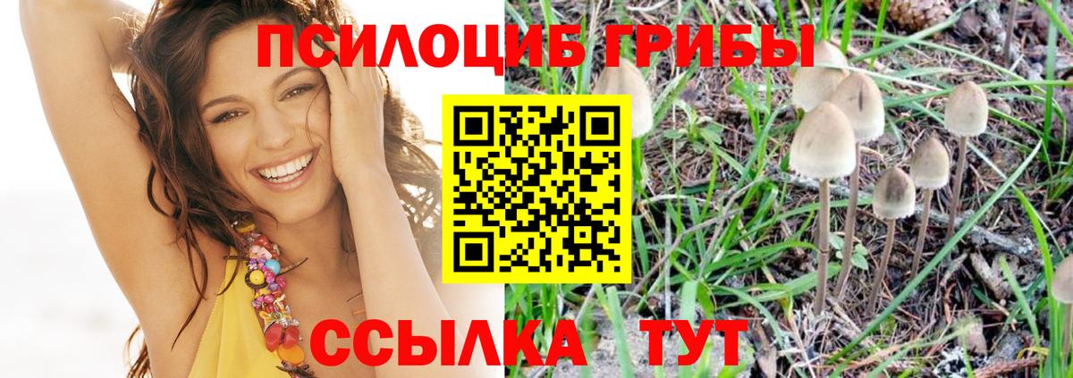 Галлюциногенные грибы мицелий  Вход с VPN  Псилоцибиновые грибы ЛСД  Похвистнево 